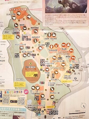 札幌円山動物園　北海道　冬　雪　園内マップ　地図