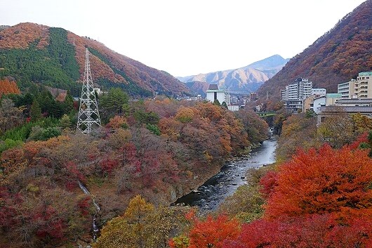 鬼怒川温泉の11月下旬の紅葉の様子