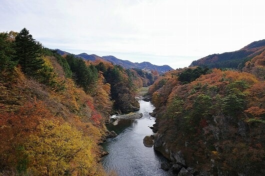 紅葉の時期の鬼怒川温泉の「鬼怒楯岩大吊橋」からの景色