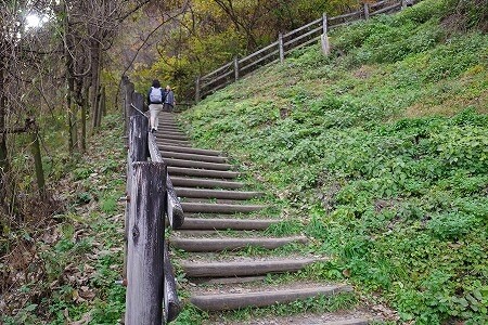 鬼怒川温泉の「鬼怒楯岩大吊橋」を渡った後の階段