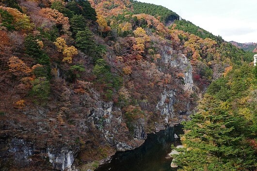紅葉の時期の鬼怒川温泉の「鬼怒楯岩大吊橋」からの景色