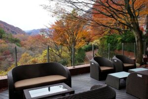 鬼怒川金谷ホテル宿泊記（ラウンジのテラス席）