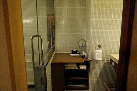 鬼怒川金谷ホテル宿泊記、スタンダード和洋室のバスルーム、ドライヤー