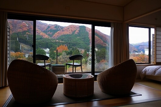 鬼怒川金谷ホテル宿泊記、スタンダード和洋室からの眺め、景色