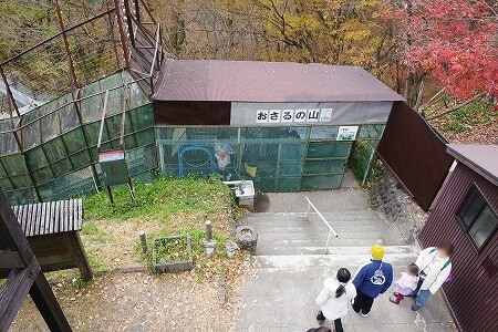 鬼怒川温泉ロープウェイの頂上のおさるの山