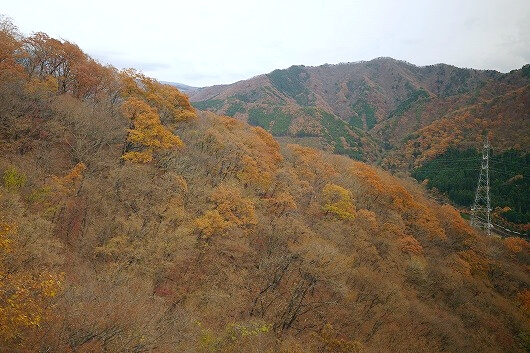 鬼怒川温泉ロープウェイからの紅葉の眺め・景色
