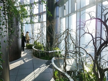 ニュウマン高輪の空中庭園「ルフトバウム（LUFTBAUM）」