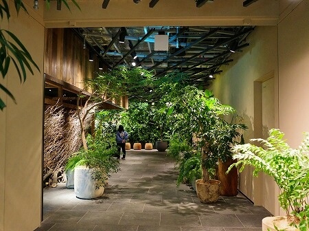 ニュウマン高輪の空中庭園「ルフトバウム（LUFTBAUM）」