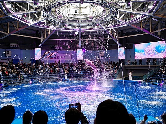 「マクセルアクアパーク品川」水族館のイルカショー