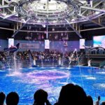 「マクセルアクアパーク品川」のデイバージョンのイルカショー、ドルフィンパフォーマンス