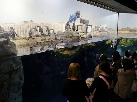 「マクセルアクアパーク品川」のペンギン