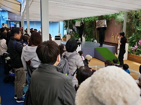 「マクセルアクアパーク品川」のイベント、カメのフレンドリータイム