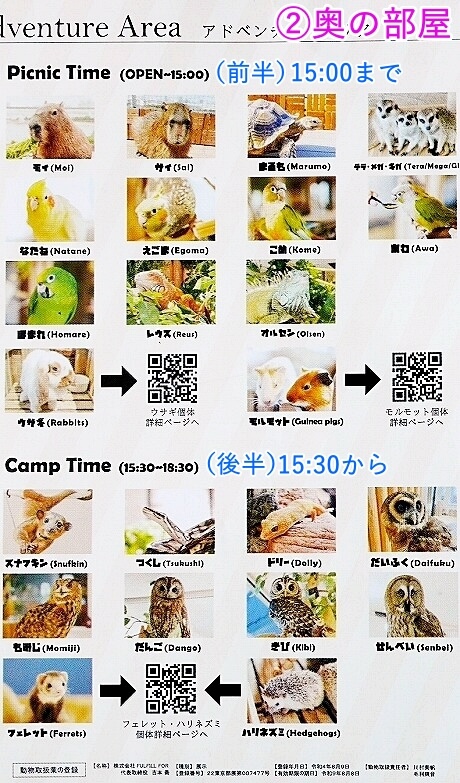「アニミルお台場店」で会える動物たちの種類