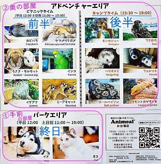 「アニミルお台場店」で会える動物たちの種類