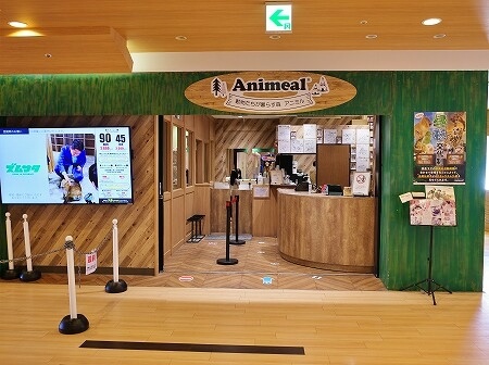 動物たちが暮らす森「アニミルお台場店」の入り口