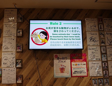 「アニミルお台場店」の注意事項説明
