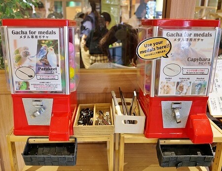 「アニミルお台場店」のアドベンチャーエリアのエサのガチャガチャ