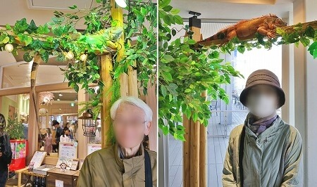 「アニミルお台場店」のイグアナと記念撮影