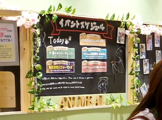 「アニミルお台場」のイベントスケジュール