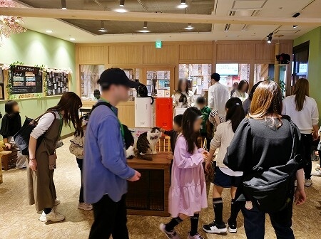 「アニミルお台場店」の店内、パークエリア