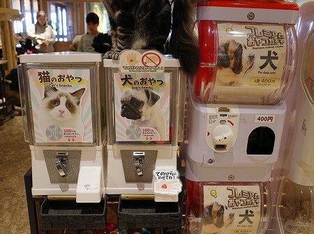 「アニミルお台場店」の犬と猫のエサ（おやつ）