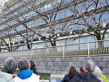 「日本橋クルーズ」の「桜お花見クルーズ」で通った大横川の一分咲きの桜