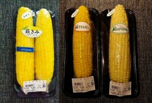 銀座三越の八百屋（サン・グリーンズ）で買ったふかしとうもろこし「嶽きみ」「恵味」「ピュアホワイト」