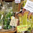 築地米金　青果店　八百屋　野菜　ハーブ　田沢農園　ルバーブ　ミント　イエルバブエナミント